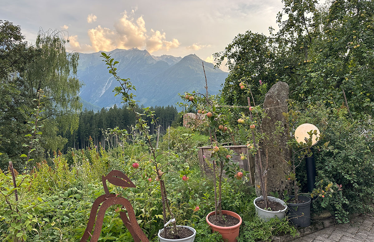 5-Ausflugsziele-in-Neukirchen-beim-Naturdorf-Oberkühnreit-aussicht