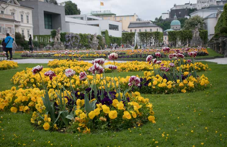 City-Trip-nach-Salzburg-ins-Haus-der-Natur-mirabellgarten-blumen