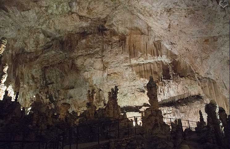Die-Höhle-von-Postojna-höhlenbild