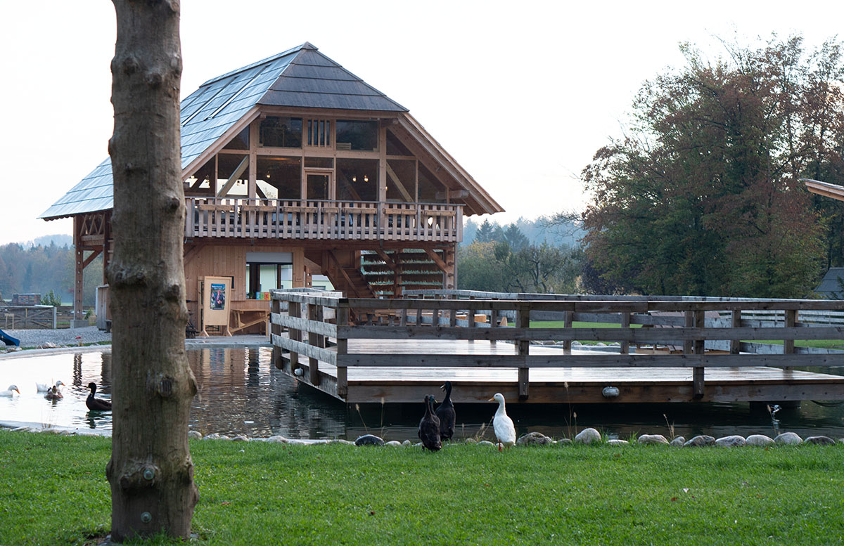 Glamping im Slovenia Eco Resort Kamnik hütten gänse