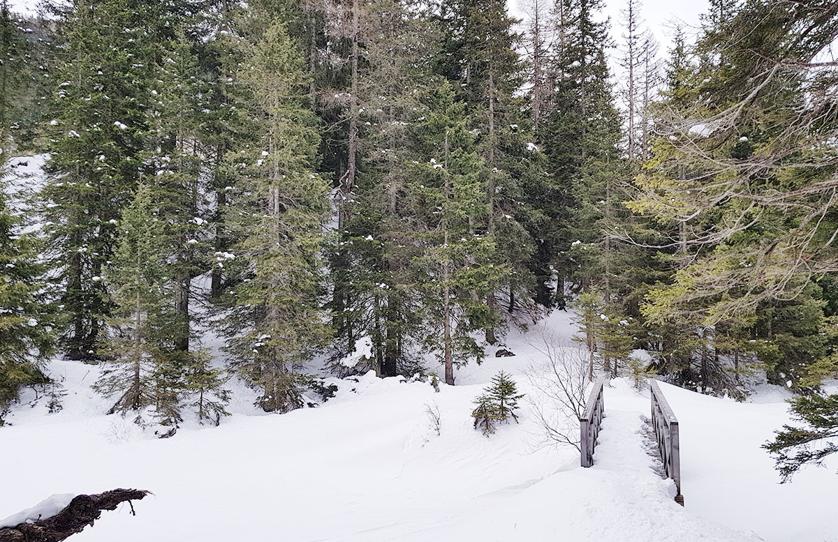 Schneeschuhwanderung zum Obernberger See wandern see verschneit