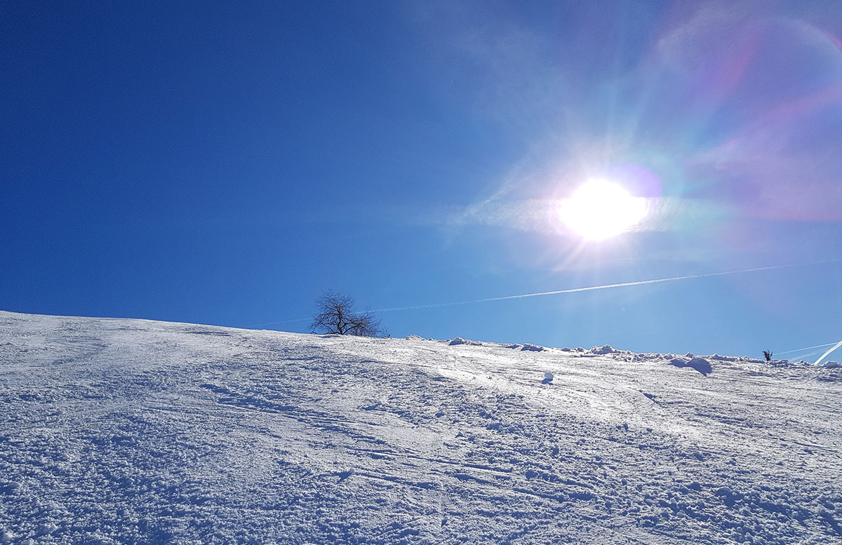 Skiregion-Dachstein-West-in-Gosau-skipiste-blick-nach-oben