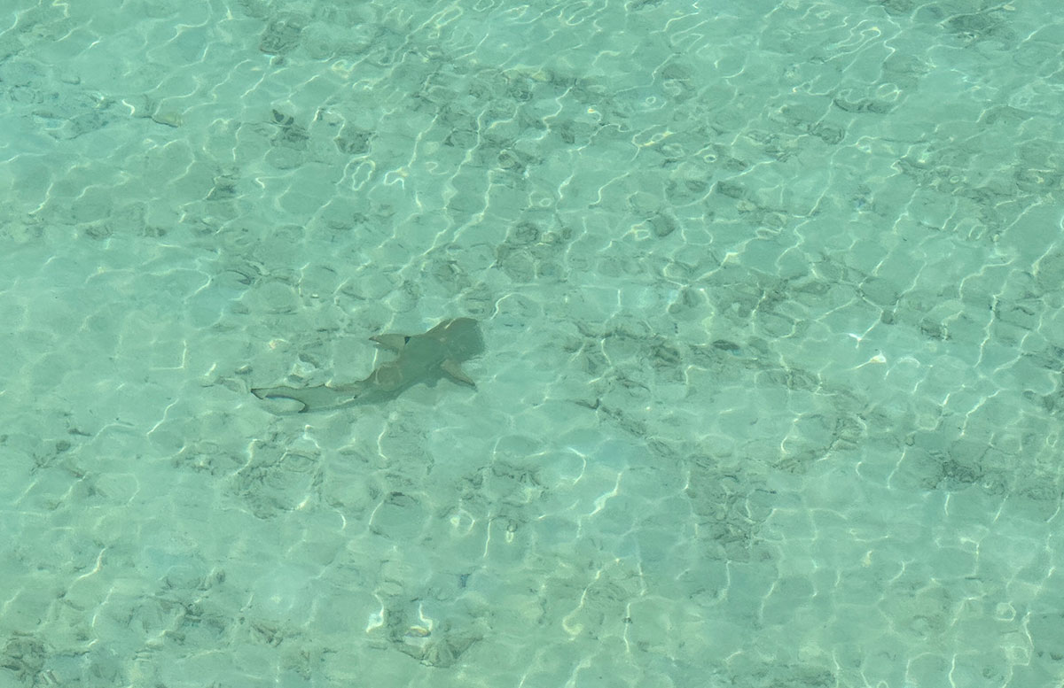 Unsere-Flitterwochen-mit-Baby-im-Amari-Raaya-Malediven-malediven-inseln-babyhau