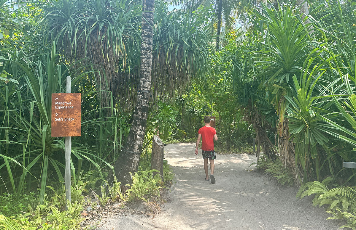 Unsere-Flitterwochen-mit-Baby-im-Amari-Raaya-Malediven-malediven-inseln-mangroven