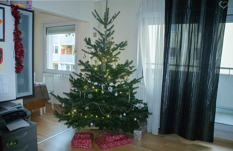 weihnachtsbaum-mit-lichterkette-unser-weihnachten